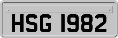 HSG1982