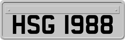 HSG1988