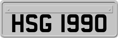 HSG1990