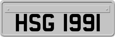 HSG1991