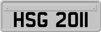 HSG2011