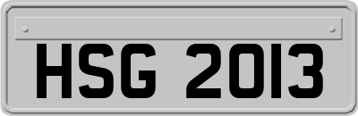 HSG2013