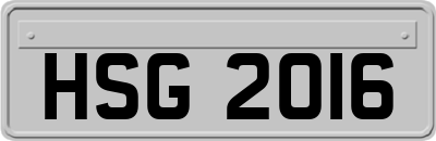 HSG2016