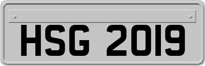 HSG2019