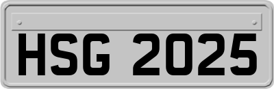 HSG2025
