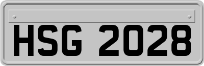 HSG2028
