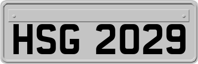 HSG2029