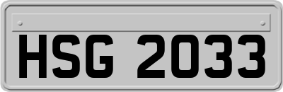 HSG2033