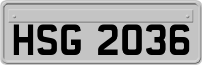 HSG2036