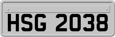 HSG2038