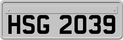 HSG2039