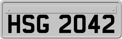 HSG2042