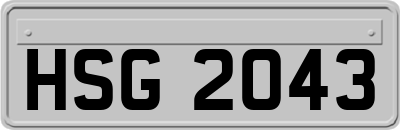 HSG2043