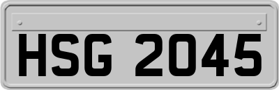 HSG2045