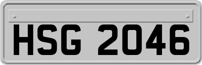 HSG2046