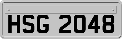 HSG2048