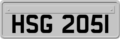 HSG2051