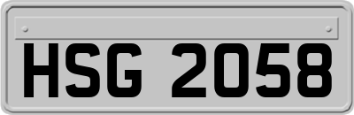 HSG2058