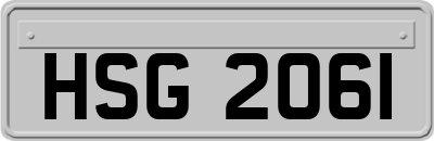 HSG2061