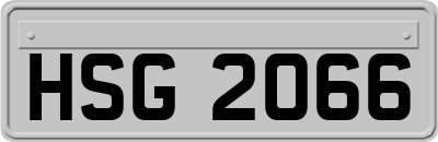 HSG2066