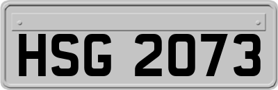 HSG2073