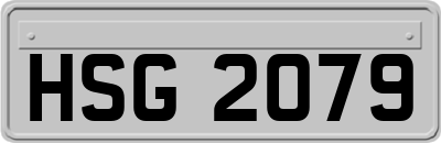 HSG2079