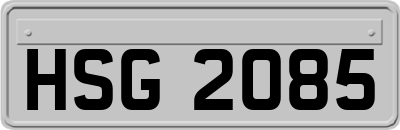 HSG2085