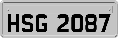 HSG2087