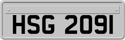 HSG2091