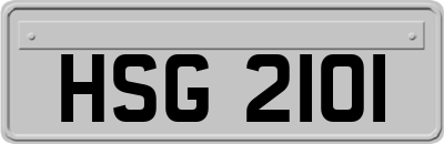 HSG2101