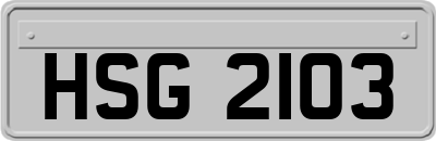 HSG2103