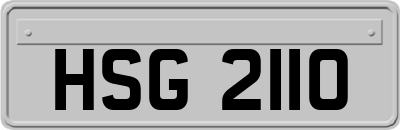 HSG2110