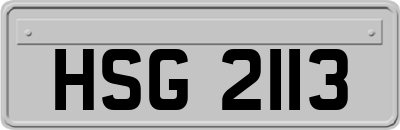 HSG2113