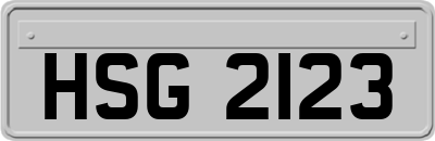 HSG2123