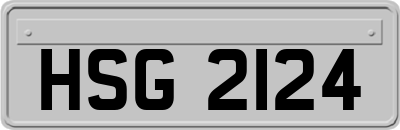HSG2124