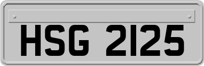HSG2125