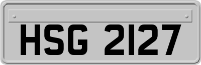 HSG2127