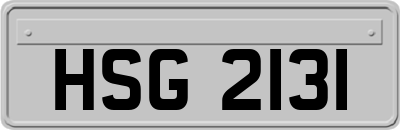 HSG2131