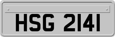 HSG2141