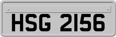 HSG2156
