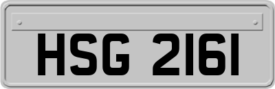HSG2161