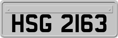 HSG2163