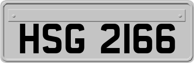HSG2166