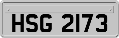 HSG2173