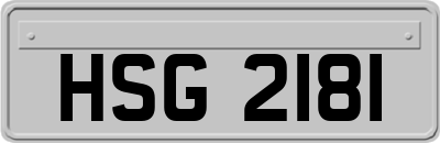HSG2181
