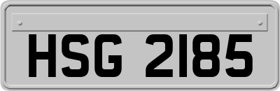 HSG2185