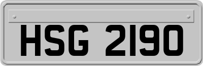HSG2190