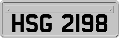 HSG2198