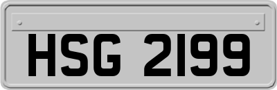 HSG2199