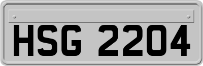 HSG2204